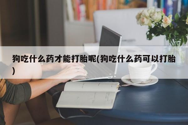 哪里可以买到打胎药狗吃什么药才能打胎呢(狗吃什么药可以打胎)