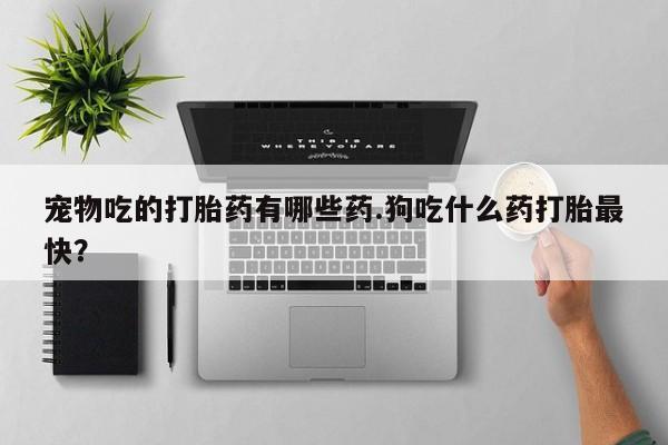 哪里可以买到打胎药宠物吃的打胎药有哪些药.狗吃什么药打胎最快？