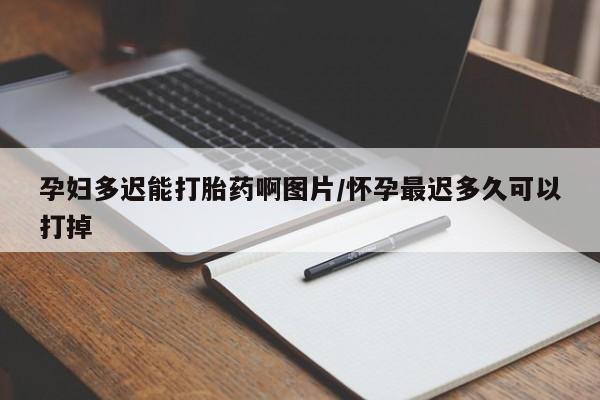 哪里可以买到打胎药孕妇多迟能打胎药啊图片/怀孕最迟多久可以打掉