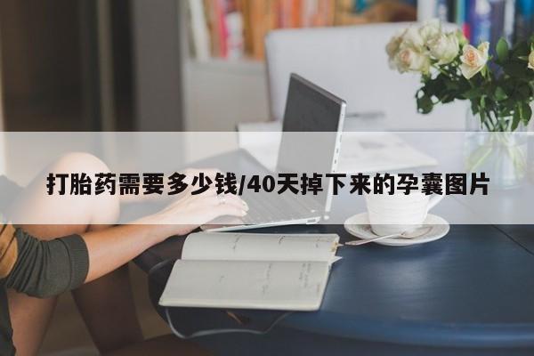 哪里可以买到打胎药打胎药需要多少钱/40天掉下来的孕囊图片