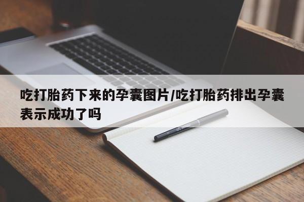 哪里可以买到打胎药吃打胎药下来的孕囊图片/吃打胎药排出孕囊表示成功了吗